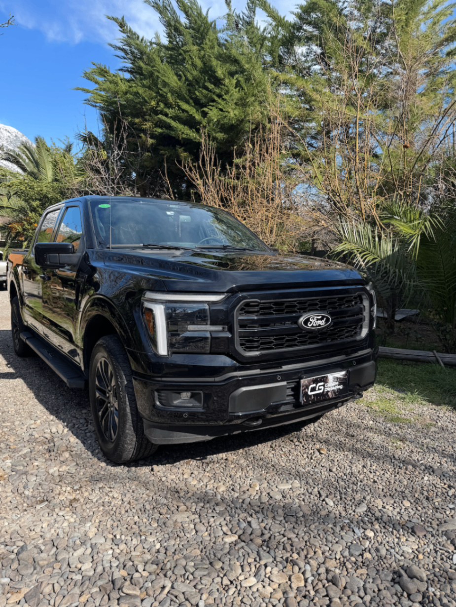 Ford F-150 negra con terminación brillante